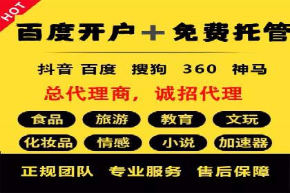 搜索引擎营销（SEM）的精准投放技巧案例